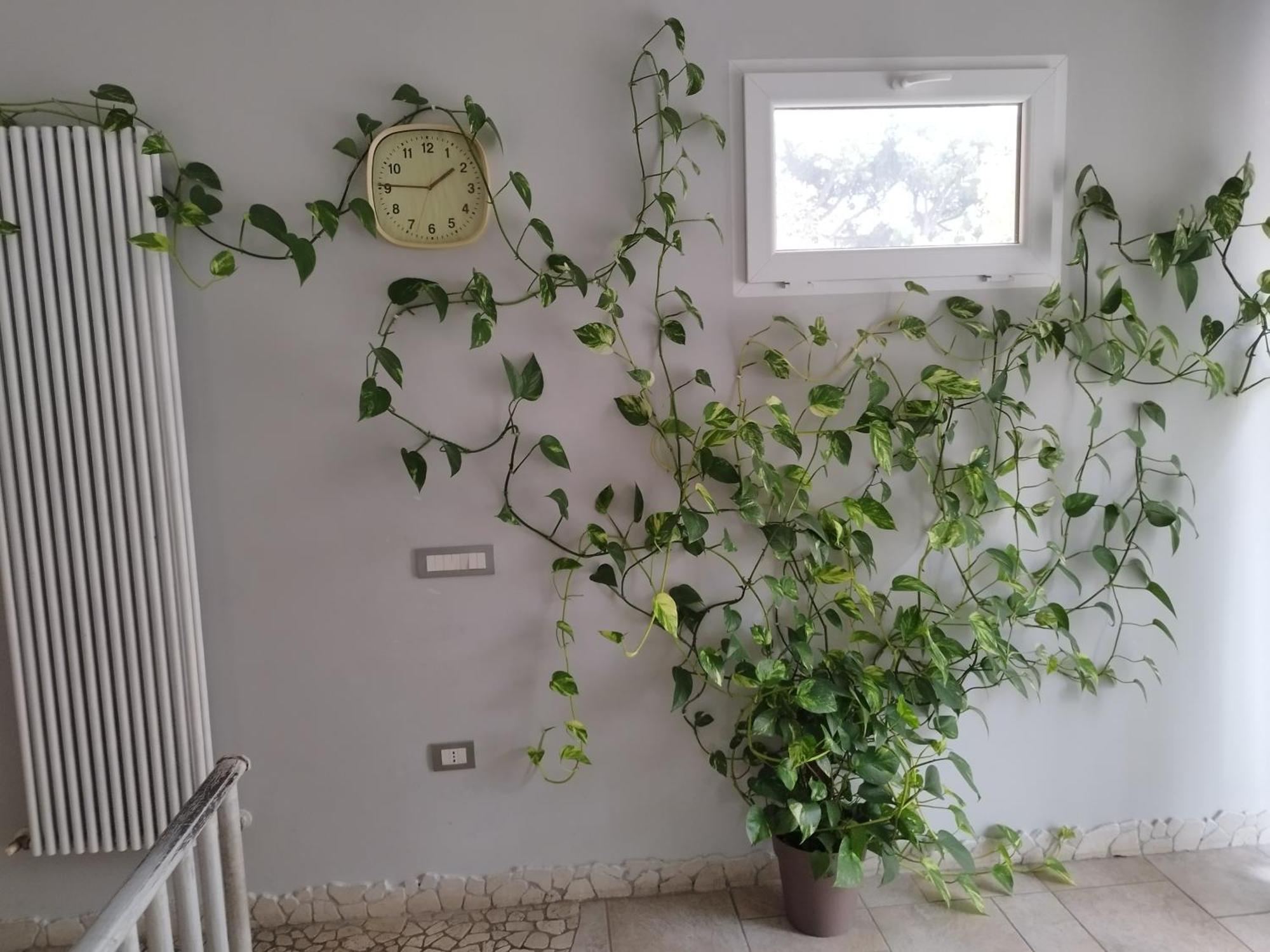 Appartamento Fronte Mare Con Parcheggio Privato Pescara Exterior foto